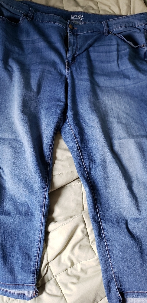 Terra & Sky skinny ankle jean